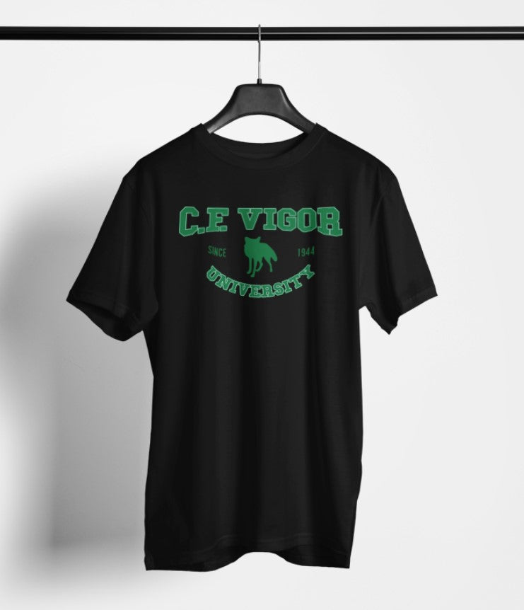 Colors T-Shirts with Two Color Image